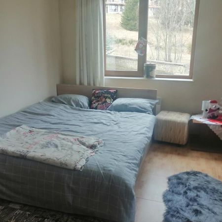 Apartment Dream بامبوروفو المظهر الخارجي الصورة